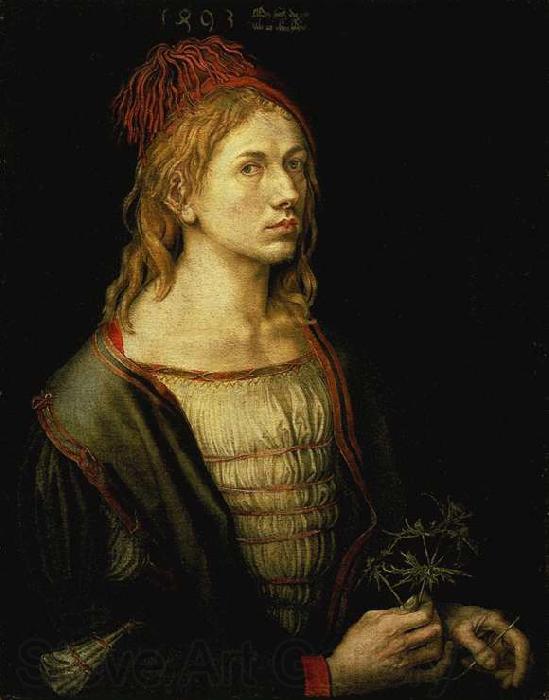 Albrecht Durer Portrait of the Artist Holding a Thistle Spain oil painting art